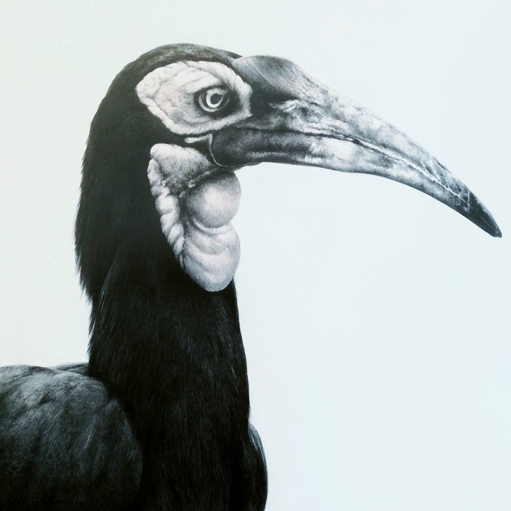 Amazing Alan Woollett Art Simple Alan Woollett (@awoollett) | Twitter Images