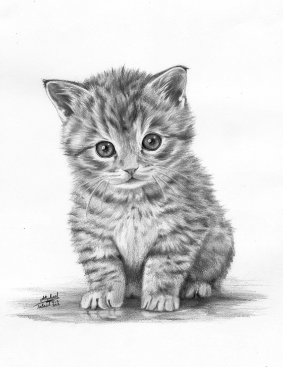 Amazing Cat Pencil Drawing Lessons Animals Drawings. $100.00, Via Etsy. | Draw | Animal Drawings Pics