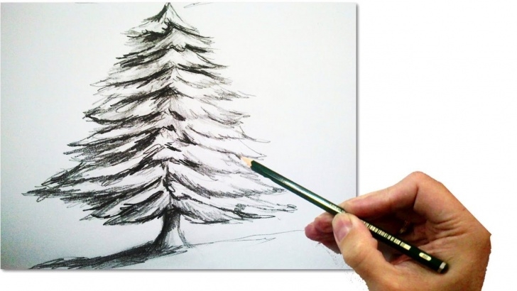 Amazing Christmas Pencil Drawings Easy Step by Step How To Draw A Realistic Christmas Tree With Pencil | #draw Step By Pics