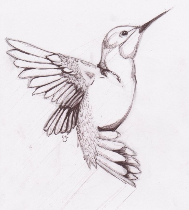 Amazing Pencil Drawings Of Birds And Animals Easy Easy Drawings For Kids - Pencil Art Drawing | Birds | Bird Sketch Image