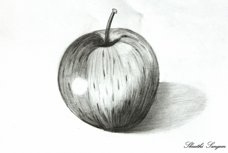 Amazing Pencil Sketch Of Apple Step by Step Art And Craft: Pencil Sketch- Apple Photos