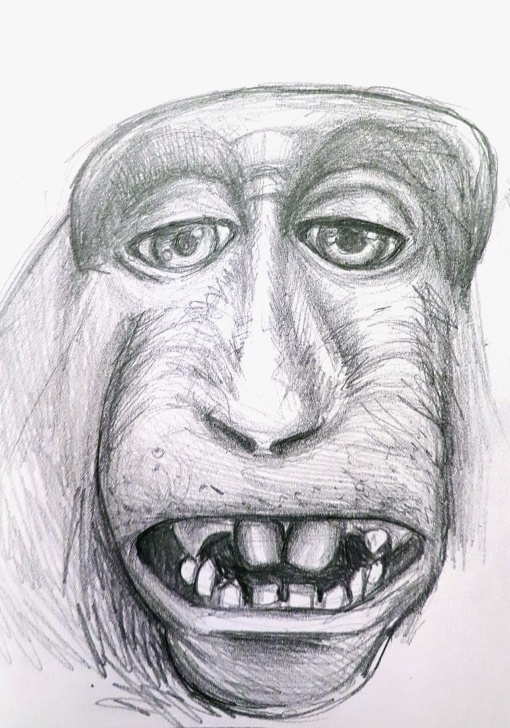 Amazing Pencil Sketch Of Monkey Techniques for Beginners Pencil Sketch Of Monkey Images