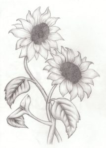 Amazing Sunflower Pencil Drawing for Beginners How To Draw Sunflowers - Google Search | Drawings Of Flowers In 2019 Images