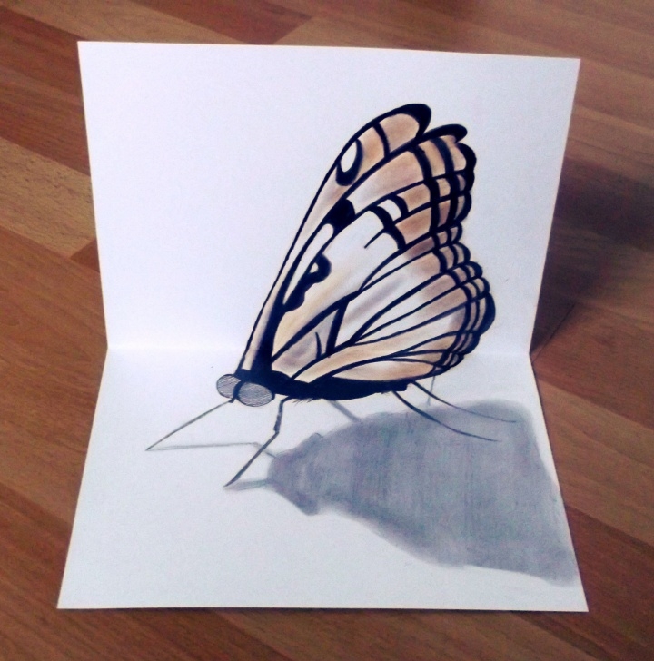 Awesome 3D Pencil Drawing Step by Step 3D Butterfly | 3D Pencil Drawing | Drawings, 3D Pencil Drawings Images