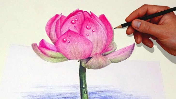 Awesome Colored Pencil Flower Drawings Techniques Drawing A Lotus Flower With Simple Colored Pencils | - Youtube Pictures