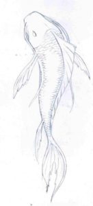 Awesome Fish Pencil Sketch Tutorial Koi Fish Drawings In Pencil - Google Search | Places To Visit | Fish Photos