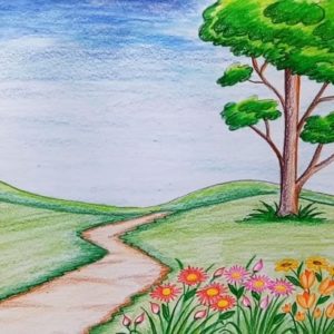 Flower Garden Drawing Pencil