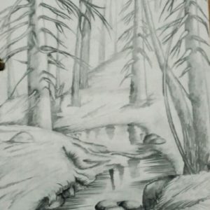 Forest Pencil Sketch