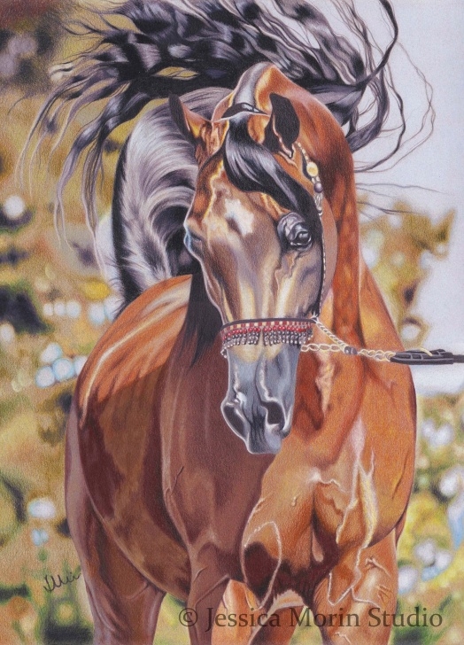 Awesome Horse Drawing Colored Pencil Techniques Horse Drawing ~ Colored Pencil ~ Jessica Morin | Art - Horses Photos