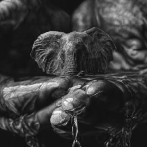 Jono Dry Art