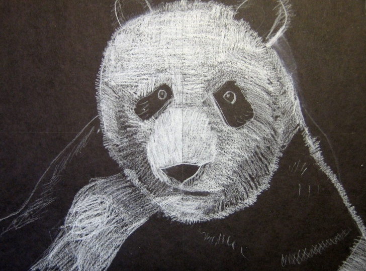 Awesome White Colored Pencil On Black Paper for Beginners Art Blog By Dawn Eaton - Art By Dawn Eaton Picture