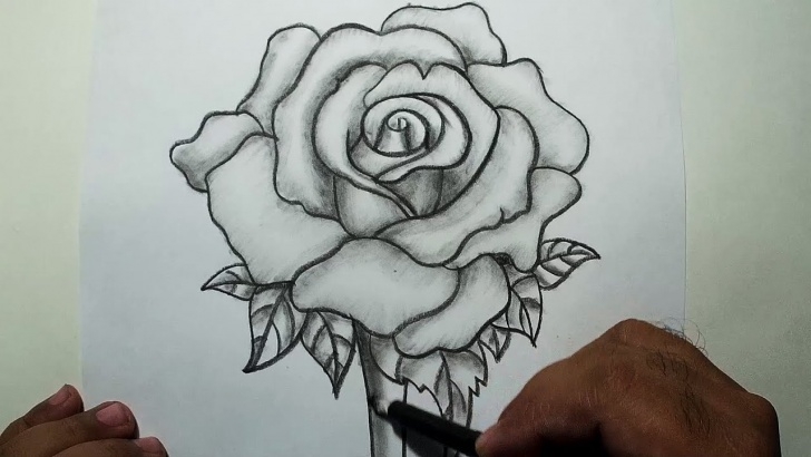Best 3D Rose Pensil Sketch Step By Step Lessons How To Draw A Rose || Pencil Drawing And Shading Photo