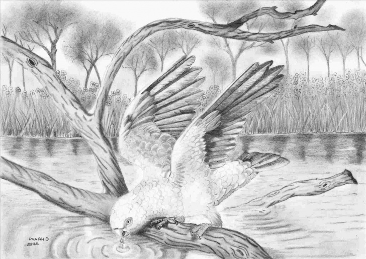 Best Best Pencil Art Courses Best Pencil Sketch In The World | Drawing Work Image