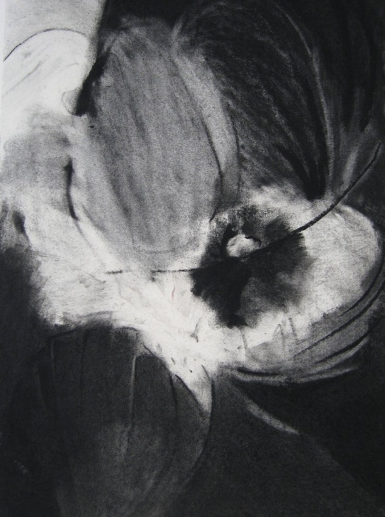 Best Black And White Charcoal Drawings Step by Step Charcoal Expressive Drawing And Rubbing, Abstract Charcoal Drawing, Black White And Gray, Eraser Rub Out Drawing, Original Abstract Drawing Pic