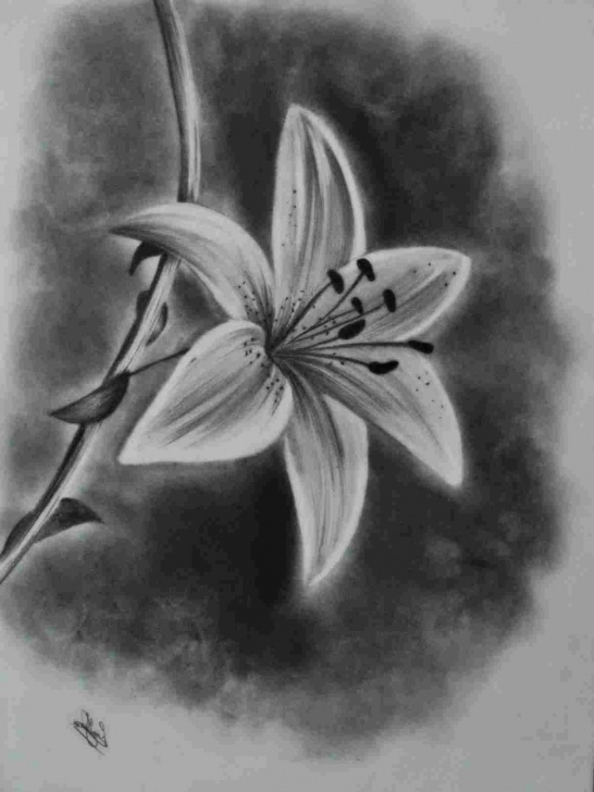 Best Charcoal Art For Beginners Tutorials Ideas Easy Charcoal Drawings Charcoal Art Drawing For Beginners Pics