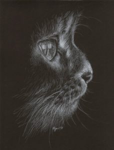 Best Drawing On Black Paper With White Pencil Techniques for Beginners White Pencil On Black Paper Sketch, Oc | Muse | Black Paper Drawing Photo