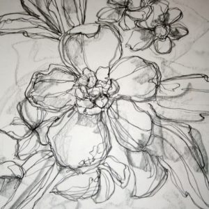 Floral Pencil Drawings