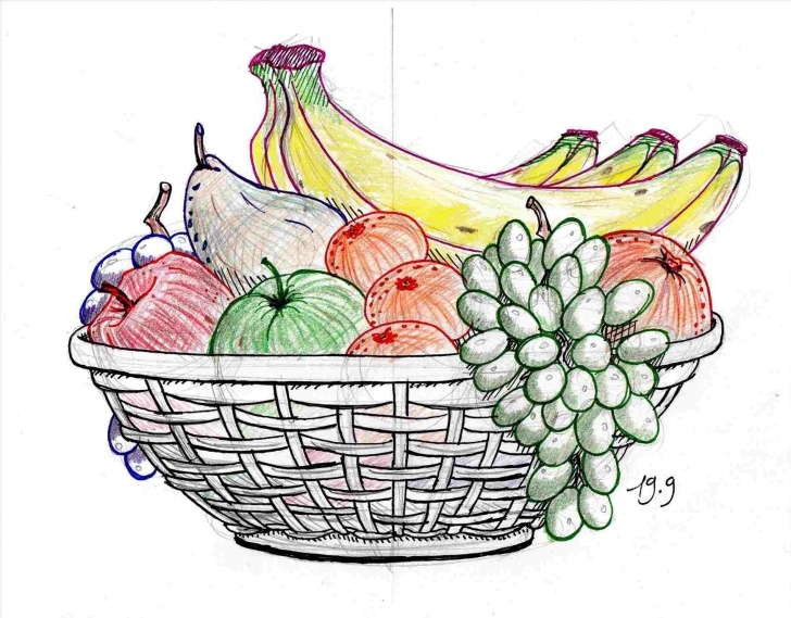 Best Fruit Basket Pencil Drawing Easy Fruit Basket Drawing Shading Pictures