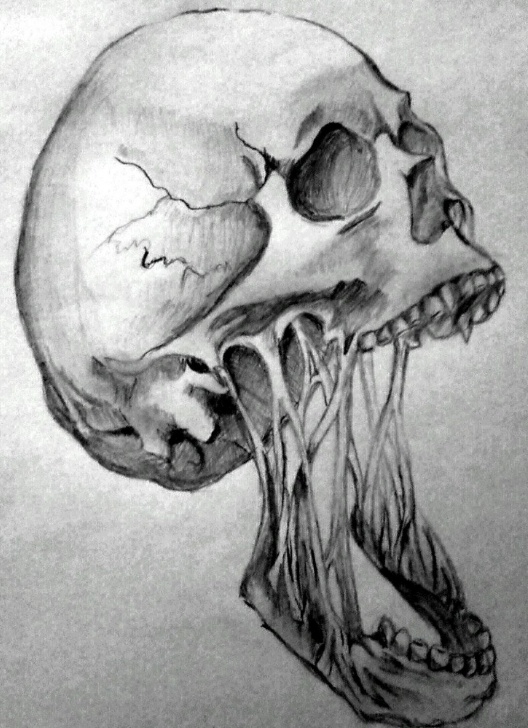 Best Horror Pencil Drawings Tutorials Horror Skull By Angeli7.deviantart On @deviantart | Horror In Photo