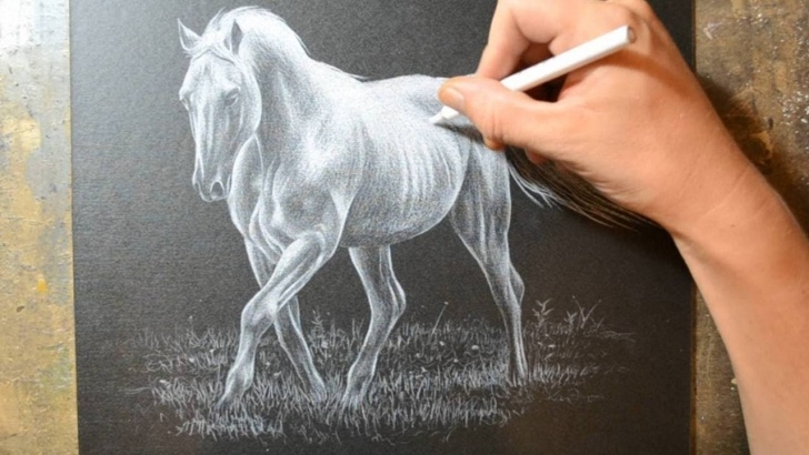 Best Horse Drawing Colored Pencil Techniques for Beginners Drawing A Horse With A White Colored Pencil Crayon Images