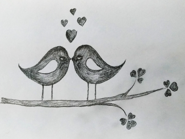 Best Love Birds Sketch Easy Love Birds Art By Mlspcart On Dribbble Image
