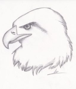 Best Pencil Drawings Of Animals Step By Step Step by Step Easy Drawings | Drawing And Sketching Tips In 2019 | Pencil Drawings Photo