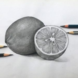 Pencil Sketch Of Fruits