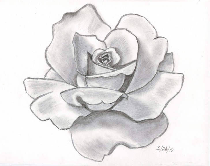 Best Rose Flower Pencil Drawing Ideas Angel Drawing Of Pencil Sketches | Rose Tattoo Designs Pencil Pic