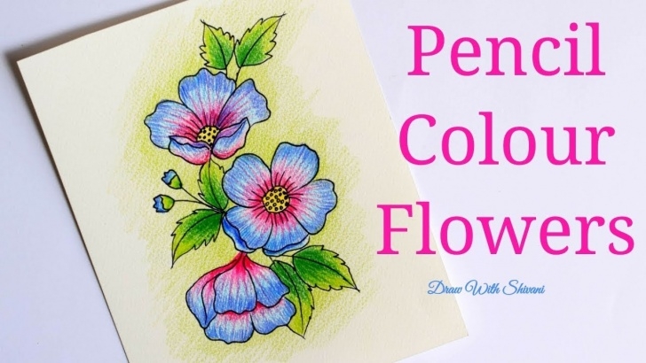 Excellent Colour Pencil Shading Drawing Ideas Easy Flowers Using Pencil Colors/ Colored Pencil Shading Flowers Photo