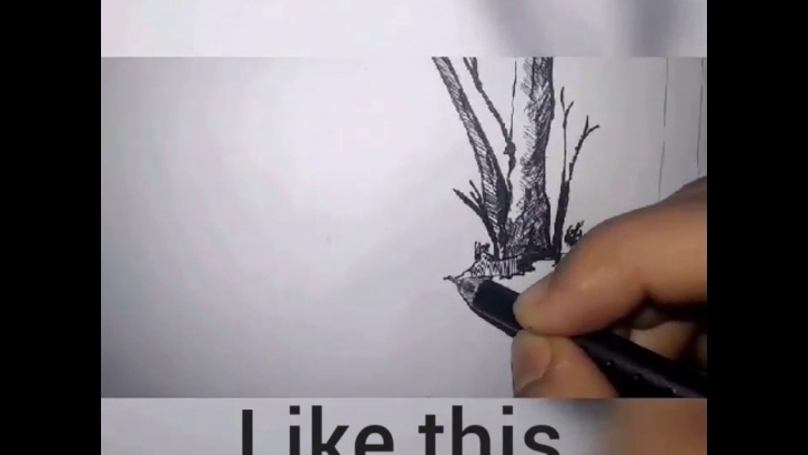 Excellent Deforestation Pencil Drawing Simple How We Draw Pen Sketch On Topic Deforestation? Photos