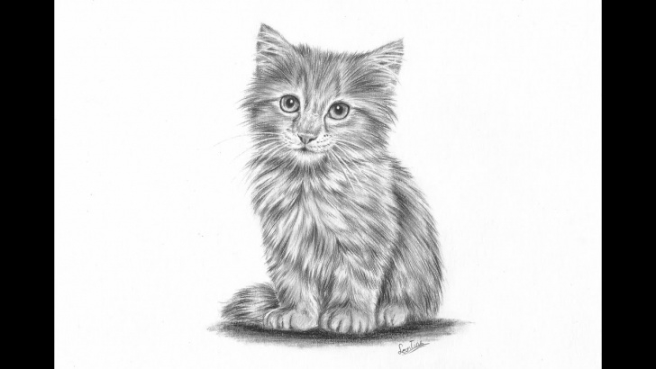 Excellent Kitten Pencil Drawing Tutorials How To Draw A Realistic Kitten Part 2: Fur And Details | Leontine Van Vliet Images