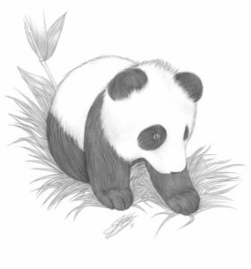 Excellent Panda Pencil Drawing Free Pin By Kylisha Williams On Animal Pencil Drawings | Panda Drawing Images