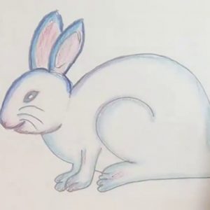 Rabbit Pencil Art