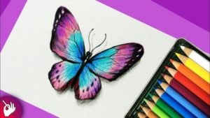 Excellent Simple Colour Pencil Drawing Easy How To Draw A Butterfly With Colored Pencils - Pencil Drawing Pic