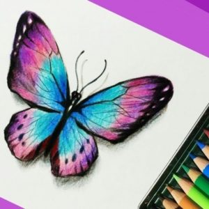 Simple Colour Pencil Drawing