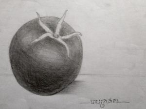 Excellent Tomato Pencil Drawing Tutorials Pencils Drawing A Tomato!!! | Pancile Drawing | Pencil Drawings Picture