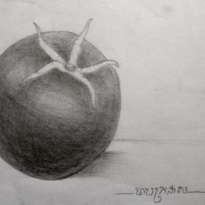Tomato Pencil Drawing