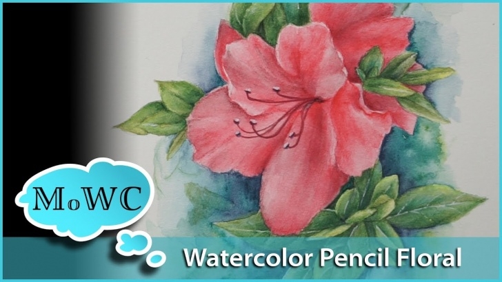 Excellent Watercolor Pencil Flowers for Beginners Azalea Floral Painting With Watercolor Pencil Picture