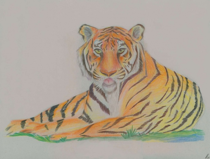 Fantastic Colored Pencil Animals Step by Step Jghs 2011-2012 Colored Pencil Animals Image