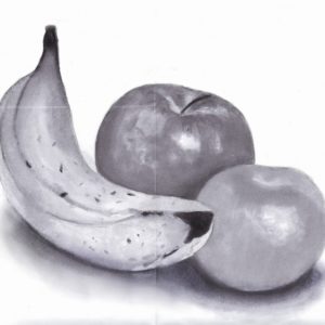 Fruits Pencil Shading