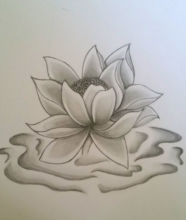 Fantastic Lotus Flower Pencil Drawing Tutorial Lotus Flower Pencil Drawing | Art | Pencil Drawings Of Flowers Photo