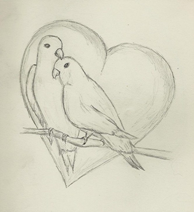 Fantastic Love Birds Sketch Ideas Love Birds Sketch Images At Paintingvalley | Explore Collection Photo