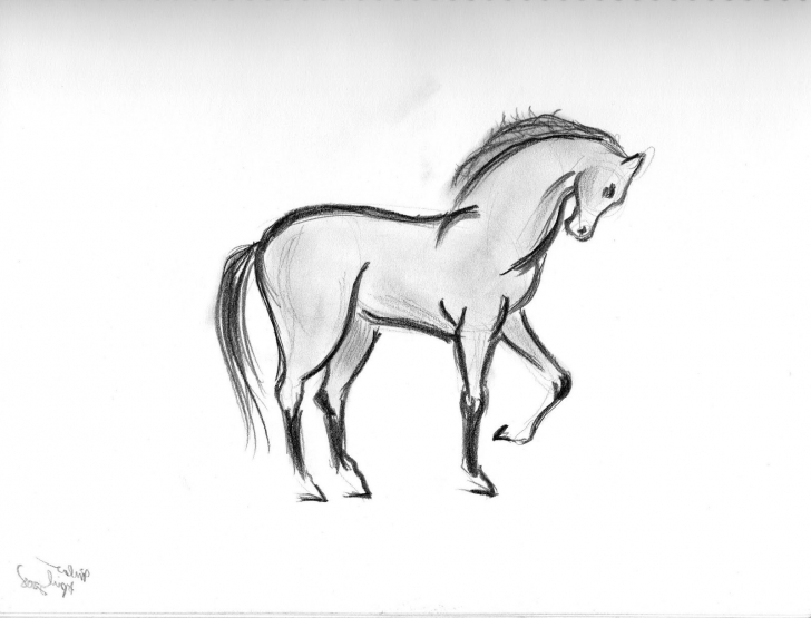 Fantastic Pencil Drawings Of Animals Courses Pencil Sketches Of Animals At Paintingvalley | Explore Pictures