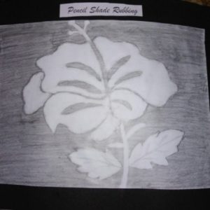 Pencil Rubbing Art