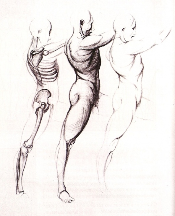 Fantastic Pencil Sketch Of Human Body Parts Step by Step Learning To Draw: Human Body Pics
