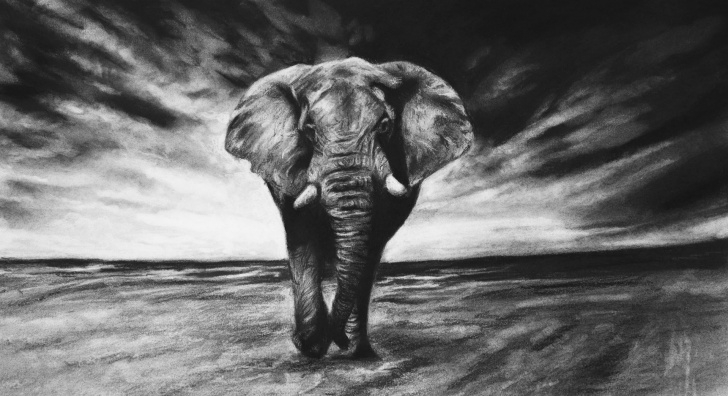 Fantastic Realistic Charcoal Drawing Free Realistic Drawing With Charcoal Workshop - Strathmore Artist Papers Photos
