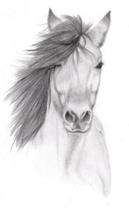 Fantastic Shading Drawing Of Animals Simple Pencil Sketches Of Animals | Horse Pencil Sketch By Vulpes Corsac Pics