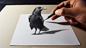Fascinating 3D Pencil Sketch Lessons 3D Pencil Art Raven Drawing Image