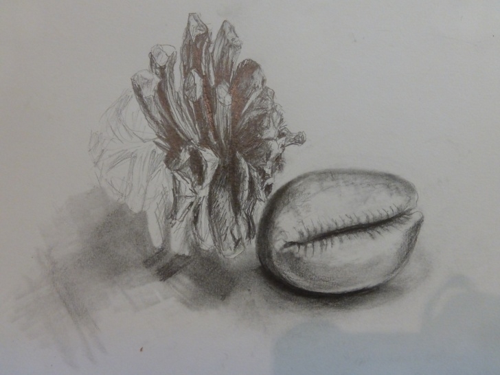Fascinating Best Grade Pencil For Sketching Ideas Best Pencils For Drawing And Sketching | Creative Art Courses Pictures