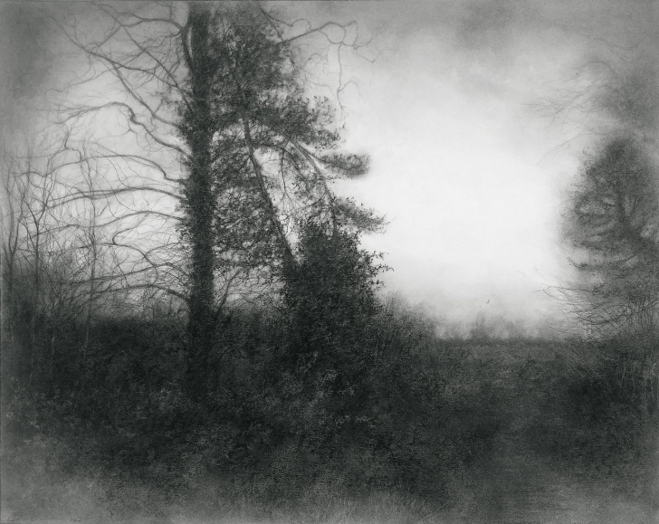 Fascinating Black And White Charcoal Drawings Courses A Way Through (Black & White Charcoal Drawing Of Misty Landscape W Spruce Tree) Pics